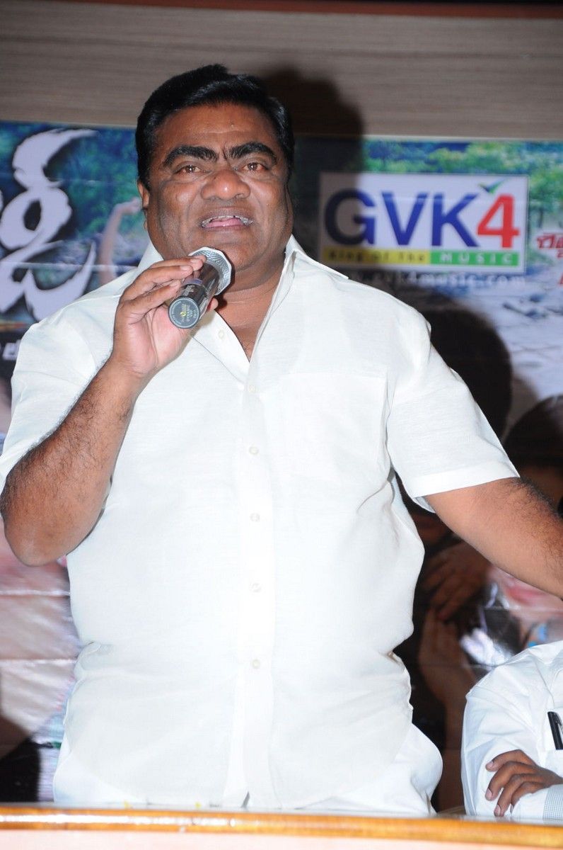 Mr Rowdy Audio Release Pictures | Picture 360172