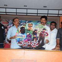 Mr Rowdy Audio Release Pictures | Picture 360134