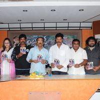 Mr Rowdy Audio Release Pictures | Picture 360137