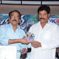 Mr Rowdy Audio Release Pictures | Picture 360139