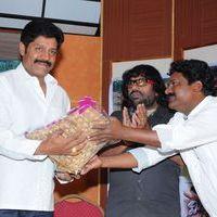 Mr Rowdy Audio Release Pictures | Picture 360143