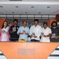 Mr Rowdy Audio Release Pictures | Picture 360169
