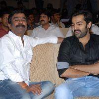 Ongole Gitta Audio Release Pictures | Picture 361930