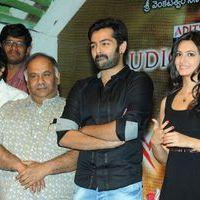 Ongole Gitta Audio Release Pictures | Picture 361938