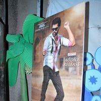 Ongole Gitta Audio Release Pictures | Picture 361940