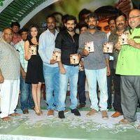 Ongole Gitta Audio Release Pictures | Picture 361960