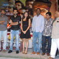 Ongole Gitta Audio Release Pictures | Picture 362008