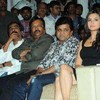Ongole Gitta Audio Release Pictures | Picture 362064
