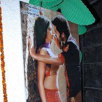 Ongole Gitta Audio Release Pictures | Picture 362066