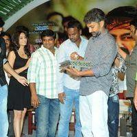 Ongole Gitta Audio Release Pictures | Picture 362092
