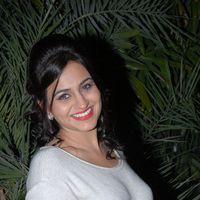 Aksha at Rey Rey Audio Release Pictures | Picture 365912