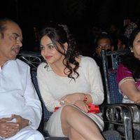 Rey Rey Movie Audio Launch Pictures | Picture 365856
