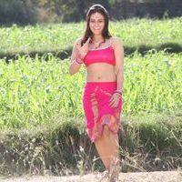 Aksha Pardasany - Rey Rey Movie Hot Stills | Picture 365764