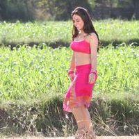 Aksha Pardasany - Rey Rey Movie Hot Stills | Picture 365785