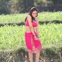 Aksha Pardasany - Rey Rey Movie Hot Stills | Picture 365792