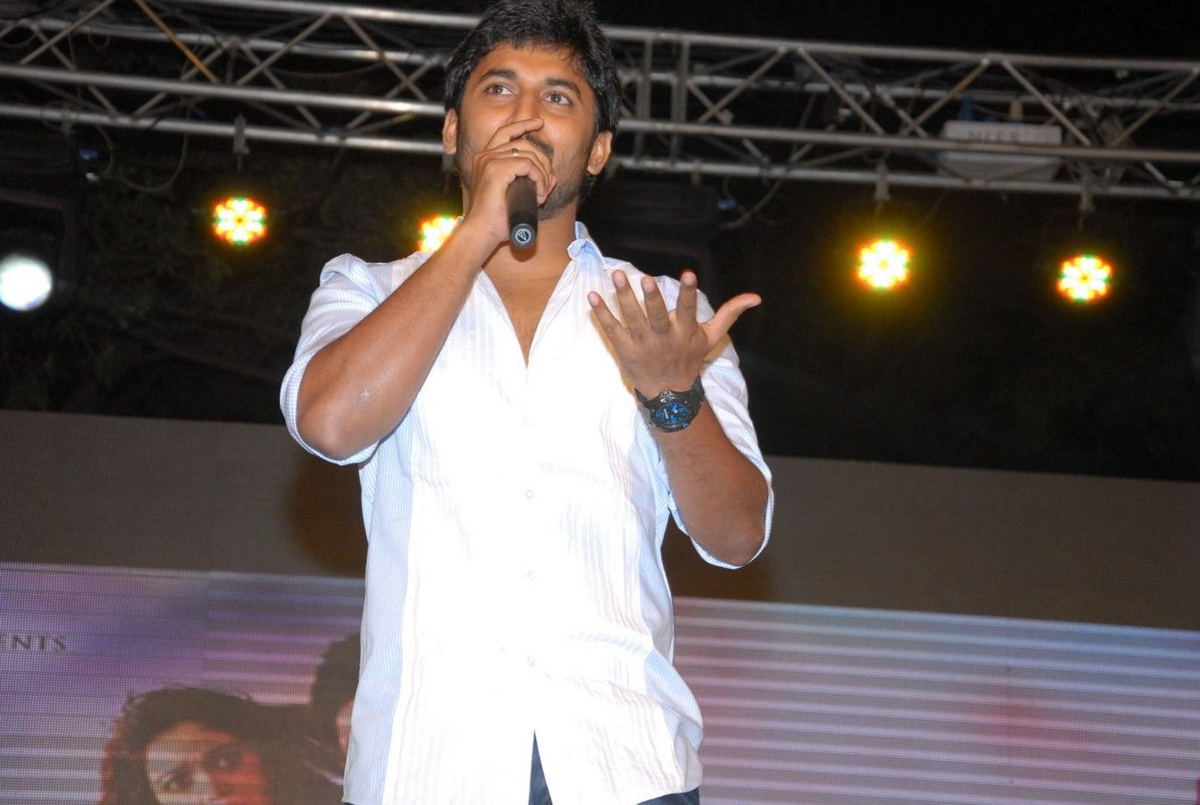 Nani - Swamy Ra Ra Audio Launch Pictures | Picture 366853