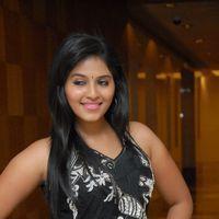 Anjali at Balupu Movie Trailer Launch Pictures | Picture 369048
