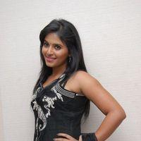 Anjali at Balupu Movie Trailer Launch Pictures | Picture 369063