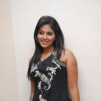 Anjali at Balupu Movie Trailer Launch Pictures | Picture 369092