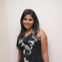 Anjali at Balupu Movie Trailer Launch Pictures | Picture 369099