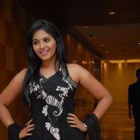 Anjali at Balupu Movie Trailer Launch Pictures | Picture 369113