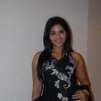 Anjali at Balupu Movie Trailer Launch Pictures | Picture 369119