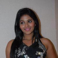 Anjali at Balupu Movie Trailer Launch Pictures | Picture 369125