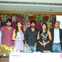 Balupu Movie Trailer Launch Pictures | Picture 369449
