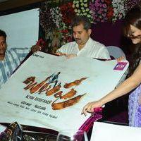 Balupu Movie Trailer Launch Pictures | Picture 369493