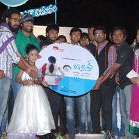 3G Love Movie Audio Launch Pictures | Picture 370341