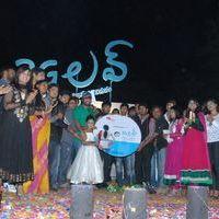 3G Love Movie Audio Launch Pictures | Picture 370370