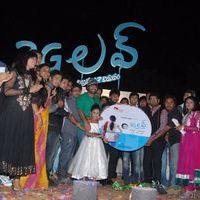 3G Love Movie Audio Launch Pictures | Picture 370486