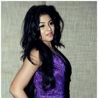 Anjali (Actress) - Balupu Movie Success Meet Photos | Picture 501580