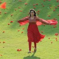 Nisha Agarwal - Saradaga Ammayitho Movie Song Photos | Picture 503479