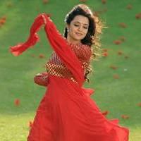 Nisha Agarwal - Saradaga Ammayitho Movie Song Photos | Picture 503481