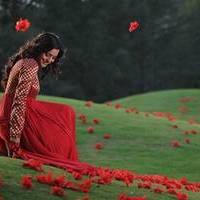 Nisha Agarwal - Saradaga Ammayitho Movie Song Photos | Picture 503483