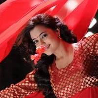 Nisha Agarwal - Saradaga Ammayitho Movie Song Photos | Picture 503486
