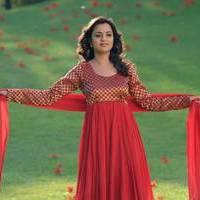 Nisha Agarwal - Saradaga Ammayitho Movie Song Photos | Picture 503489