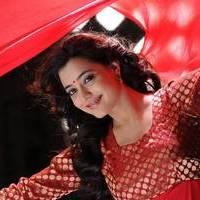 Nisha Agarwal - Saradaga Ammayitho Movie Song Photos | Picture 503495