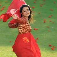 Nisha Agarwal - Saradaga Ammayitho Movie Song Photos | Picture 503508