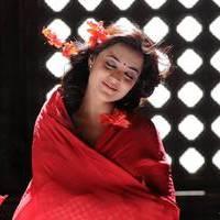 Nisha Agarwal - Saradaga Ammayitho Movie Song Photos | Picture 503509