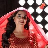 Nisha Agarwal - Saradaga Ammayitho Movie Song Photos | Picture 503513