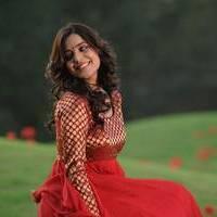 Nisha Agarwal - Saradaga Ammayitho Movie Song Photos | Picture 503515