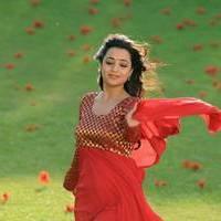 Nisha Agarwal - Saradaga Ammayitho Movie Song Photos | Picture 503521