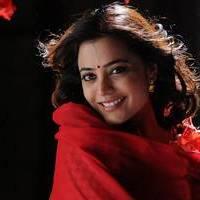 Nisha Agarwal - Saradaga Ammayitho Movie Song Photos | Picture 503525