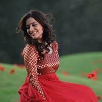 Nisha Agarwal - Saradaga Ammayitho Movie Song Photos | Picture 503528
