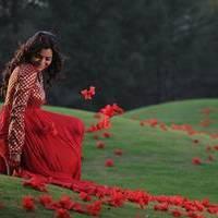 Nisha Agarwal - Saradaga Ammayitho Movie Song Photos | Picture 503530