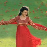 Nisha Agarwal - Saradaga Ammayitho Movie Song Photos | Picture 503536