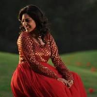 Nisha Agarwal - Saradaga Ammayitho Movie Song Photos | Picture 503541