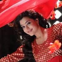 Nisha Agarwal - Saradaga Ammayitho Movie Song Photos | Picture 503543